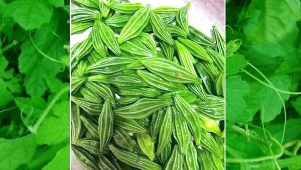 அதலைக்காய் அதுக்குத்தான் வேணும்.. நீரிழிவு நோயை விரட்ட அற்புத காய்.. காமாலையை விரட்டும் கசப்பு காய்