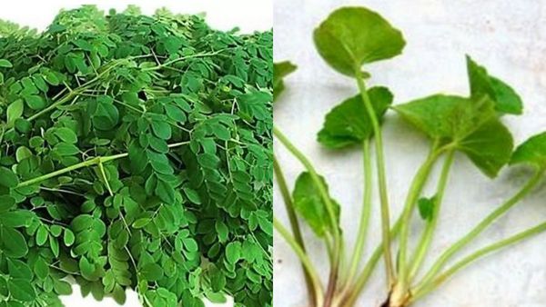 முருங்கையிலை முக்கியம்.. வல்லாரையின் வல்லமை.. பிள்ளைகளின் பொக்கிஷம்.. குழந்தைக்கு கீரை சூப் தரலாமா