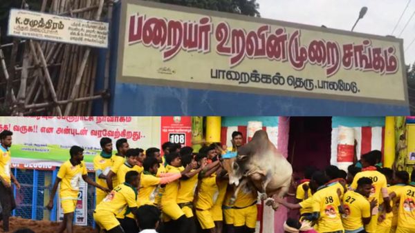 வெடித்தது போராட்டம்! ஜல்லிக்கட்டில் ஜாதி பாகுபாடு! பாலமேட்டில் கருப்பு கொடி ஏற்றிய தலித் சமூகத்தினர்