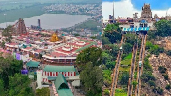 பழனி முருகன் கோயிலில் மெகா வேலைவாய்ப்பு.. 296 பணியிடங்கள்.. தேதி முடிய போகுது.. உடனே விண்ணப்பிங்க