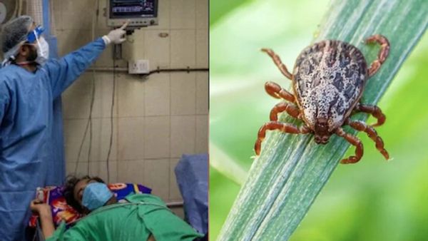 வேலூரிலும் பரவுது ஸ்க்ரப் டைபஸ்.. தமிழகத்தில் கிளம்பிய புது வைரஸ்! அதிக பாதிப்பு இவர்களுக்குத்தானாம்