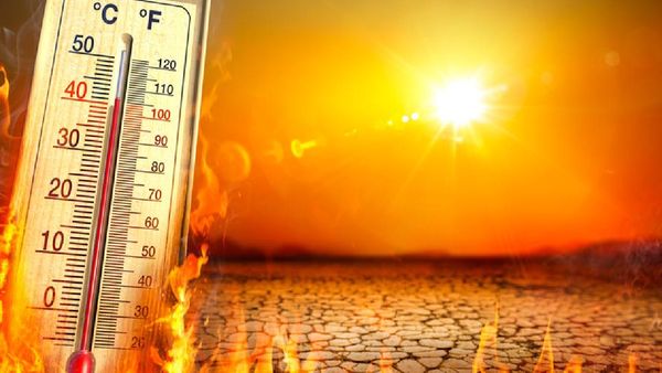 123 ஆண்டுகளில் இல்லாத அளவுக்கு 2024 இல் வெப்பம்! இந்திய வானிலை மையம் அதிர்ச்சி தகவல்