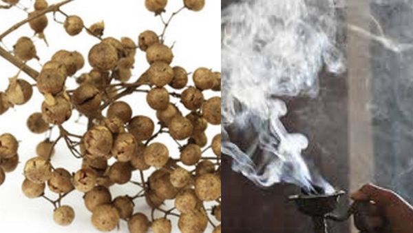 மருதாணி விதைகள்.. சாம்பிராணியுடன் நாலு மருதாணியின் விதையை பொடித்து போடுங்க.. கூடும் பணம், மகிழ்ச்சி