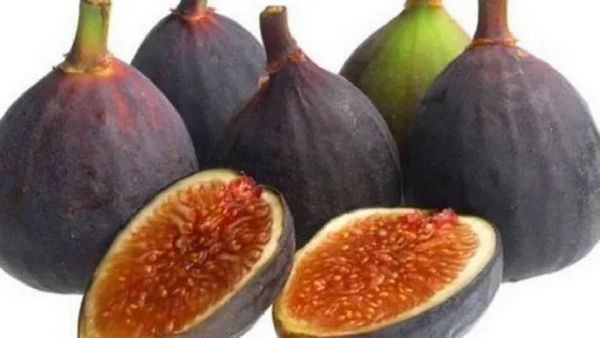 அத்திப்பழத்தை நீரில் ஊறவெச்சு சாப்பிடலாமா? தேனில் ஊறிய அத்திப்பழம்.. மூலம், அனீமியாவுக்கு பெஸ்ட்