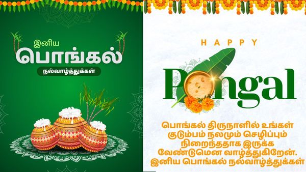 Pongal Wishes in Tamil, Pongal Wish Images, Tamil Text, Quotes! பொங்கல் வாழ்த்துகள் 2025