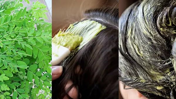 முருங்கைக்கீரை செம ஹேர் பேக்.. அடர் தலைமுடிக்கு முருங்கை இலை.. உடையாத தலைமுடிக்கு முருங்கை எண்ணெய்