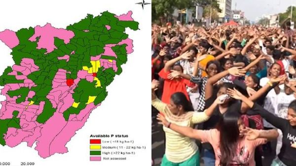 தேனி ஹேப்பி ஸ்ட்ரீட்.. நடுரோட்டில் இந்த கொண்டாட்டம் தேவையா? ஓடிவந்த பாஜக.. மகிழ்ச்சி தெரு நடக்குமா?