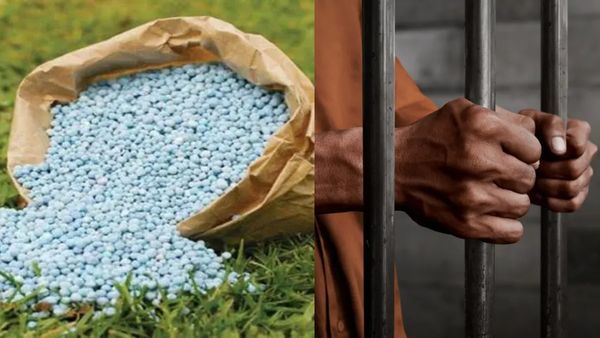 மானிய விலை யூரியா.. இதை செய்தால் 7 வருடம் ஜெயில்.. திருநெல்வேலி வேளாண்மை அதிகாரி வார்னிங்