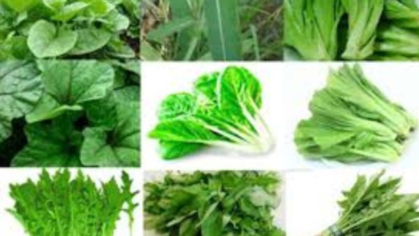 யூரிக் அமிலம் அதிகமிருக்கா? கீரைகள் நல்லதுதான், ஆனால் இவங்க மட்டும் 