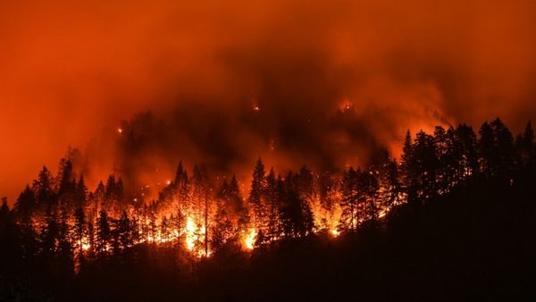 கலிபோர்னியாவை கபளீகரம் செய்த காட்டுத்தீ.. கடுமையாக சேதம் அடைந்த லாஸ் ஏஞ்சல்ஸ்.. கொடூரம்!