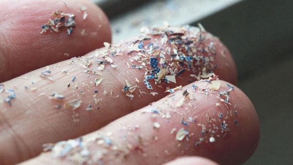 உடல் திசுக்களுக்குள் புகுந்து! புண்களை ஏற்படுத்தும் 