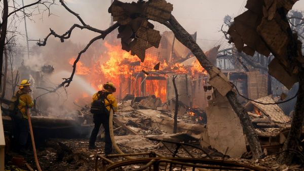 தமிழ்நாட்டின் ஓராண்டு பட்ஜெட் தொகை அளவுக்கு சேதம்.. காட்டு தீயால் கதறும் அமெரிக்கா!