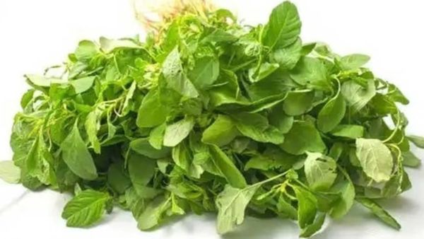 சிறுகீரையின் சிறந்த சத்துக்கள்.. ஆண்கள் சாப்பிட வேண்டிய கீரை.. உள்ளுறுப்புகளுக்கு வலு தரும் சிறுகீரை