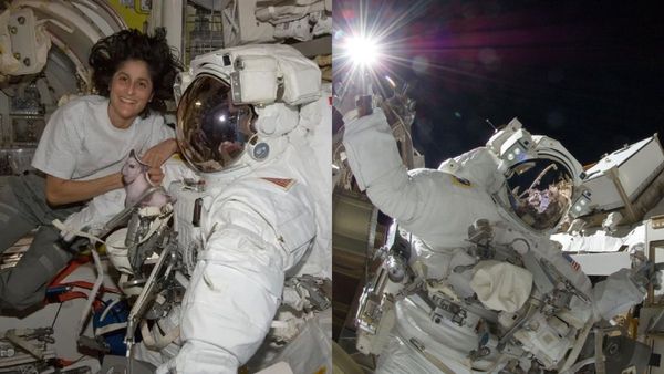 விண்வெளியில் 12 ஆண்டுகளுக்கு பிறகு நடக்கிறார் சுனிதா வில்லியம்ஸ்! புதிய சாதனை