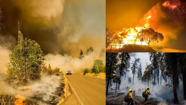 கோட் ரெட்.. கலிபோர்னியா தீ! ஐநா எச்சரித்தபடியே நடக்குது! இனி பேரிடர்களுக்கு மத்தியில்தான் வாழ்க்கை?