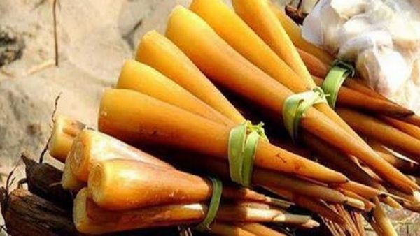 பனங்கிழங்கு சர்க்கரை நோயாளி சாப்பிடலாமா? பனங்கிழங்கில் இவ்ளோ சத்துக்களா? பெண்களுக்கு 3 பெரும் நன்மை