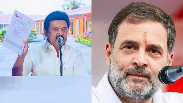 தமிழ்நாட்டில் 5,300 ஆண்டுகளுக்கு முன்பே இரும்பின் பயன்பாடு கண்டுபிடிப்பு- ராகுல் காந்தி புகழாரம்