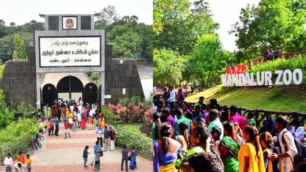 காணும் பொங்கலுக்கு வண்டலூர் Zoo போறீங்களா.. சிறப்பு ஏற்பாடுகளை செய்த பூங்கா நிர்வாகம்