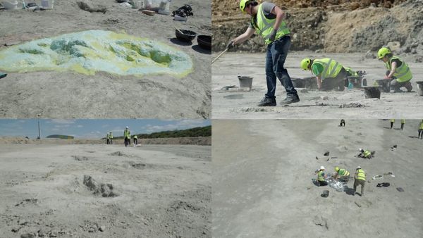 டைனோசர்கள் பயன்படுத்திய ஹைவே! ஆய்வாளர்கள் கண்டுபிடித்த அதிசயம்.. அடேங்கப்பா எவ்வளவு பெருசு