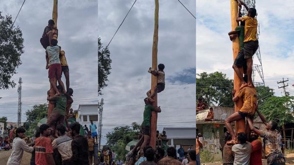 தித்தித்த திண்டுக்கல்.. வத்தலகுண்டு தாய்மாமன் நட்டுவைத்த வழுக்கு மரத்தில் ஏறி முயன்ற மருமகன்.. வாவ்