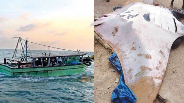 தூத்துக்குடி மீனவருக்கு அடித்த அதிர்ஷ்டம்.. சிக்கிய ஆயிரம் கிலோ பொக்கிஷம்.. இவ்வளவு விலையா?