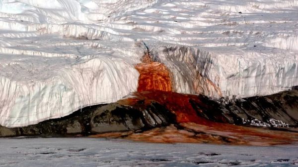 அதிசயத்தின் உச்சம்! அண்டார்டிகா பனிப்பாறையில் வெடித்து ஓடும் ரத்த நீர்வீழ்ச்சி! அது எப்படி சாத்தியம்