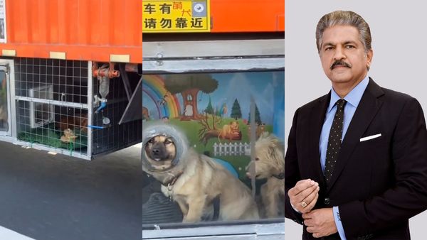 லாரியில் என்ன வித்தியாசமா இருக்கு! ஆனந்த் மகிந்திராவை நெகிழ வைத்த சம்பவம்.. பார்த்ததும் அசந்துட்டாரே