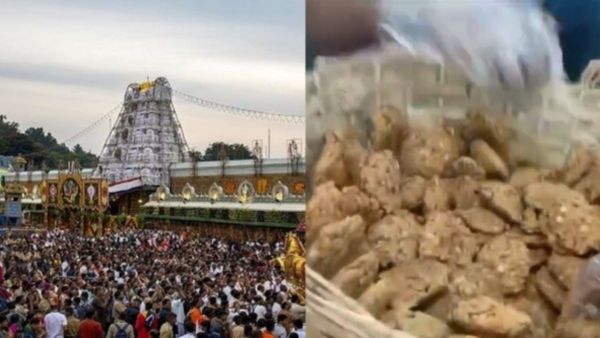 திருப்பதி கோயிலில் இனி லட்டு மட்டுமல்ல.. ’மசால் வடை’ பிரசாதமும் உண்டு.. இன்று முதல் அமல்