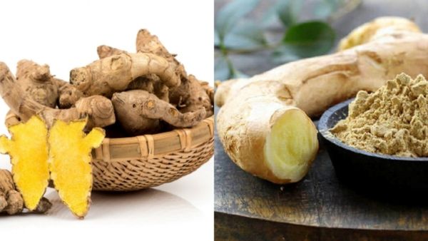 தினந்தோறும் பூலாங்கிழங்கு.. சரும ஆரோக்கியம், மினுமினுப்புக்கு கிச்சிலி கிழங்கு, கஸ்தூரி மஞ்சள் நன்மை