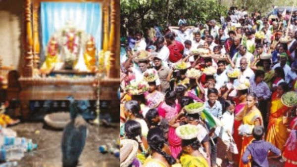 தைப்பூசம்: 'மருமகன்' முருகனுக்கு சீர்வரிசையுடன் சென்ற 'குறவர்' மக்கள்- முருகனை வழிபாடு செய்த மயில்!