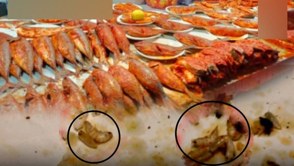 சென்னை பெசன்ட் நகர் பீச் அக்கா கடையில்.. பொரித்த மீனில் நெளிந்த புழுக்கள்! கடை ஓனர் பதிலை பாருங்க!