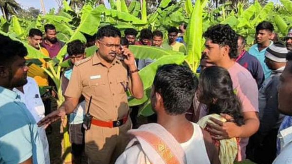 பட்டா, 3 ஏக்கர் நிலம், அடமானம்.. மாமனுக்கு வாழைதோப்பில் காத்திருந்த சம்பவம்.. ஆடிப்போன திருப்பத்தூர்
