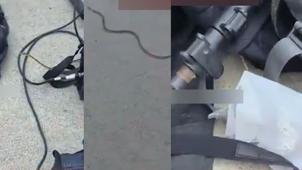 தவெக மீட்டிங்கிற்கு வந்த பாம்பு.. மின்னல் வேகத்தில் பேக்கிற்குள் நுழைந்ததால் பரபரப்பு.. என்ன நடந்தது