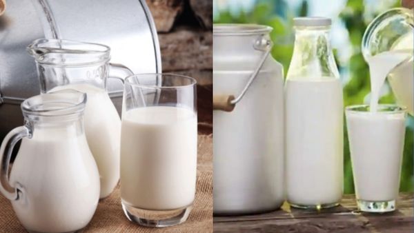 பால் சப்ளையிலேயே கை வைக்கும் இந்தி திணிப்பு.. கொந்தளித்த தமிழ்நாடு பால் முகவர்கள் சங்கம்!