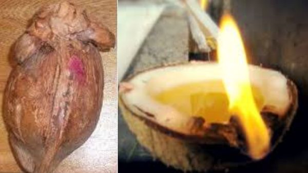 சொத்துக்கள் கோடி கோடியா சேரணுமா? பல சொத்தை மீட்டுதரும் கொம்பு தேங்காய்.. நெல்லிக்காய் சாதம் பரிகாரம்