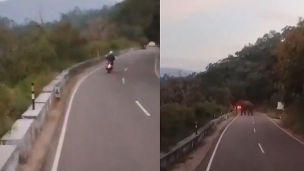 வால்பாறையில் ஜெர்மனி சுற்றுலா பயணி.. யானையை பார்த்ததும் யூடர்ன் போட்டிருக்கலாமே.. நீங்களே பாருங்க