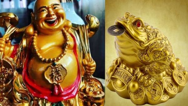 கூரையை பிச்சிக்கிட்டு பணம் கொட்டணுமா? வீட்டில் கட்டாயம் வைத்திருக்க வேண்டிய பொருள்! நிலைவாசலில் கவனம்