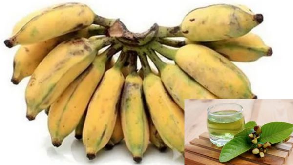 கற்பூரவள்ளி வாழையில் கொட்டிக்கிடக்கும் அதிக நன்மை.. உடல் எடை குறைக்க உதவும் இலைத்தண்ணீர்.. அற்புதம்