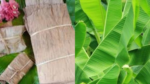 வாழை இலை சருகு இருந்தாலே வீட்டில் நிதி நிலைமை சீராகுமே.. வாழையிலையில் இப்படியொரு பரிகாரமா? சூப்பர்ல