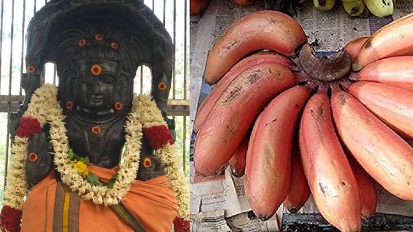 செவ்வாழை பரிகாரம்.. 21 நாட்கள் செவ்வாழைப்பழத்தில் மாலை.. மகிழ்ச்சி, பணம், பதவி அசால்ட்டா கிடைக்குமே