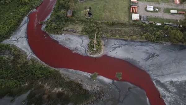 ரத்த கண்ணீர் விடும் அர்ஜென்டினா நீரோடை.. வரிசையாக செத்து மிதக்கும் மீன்கள்! இதற்கு என்னதான் காரணம்?