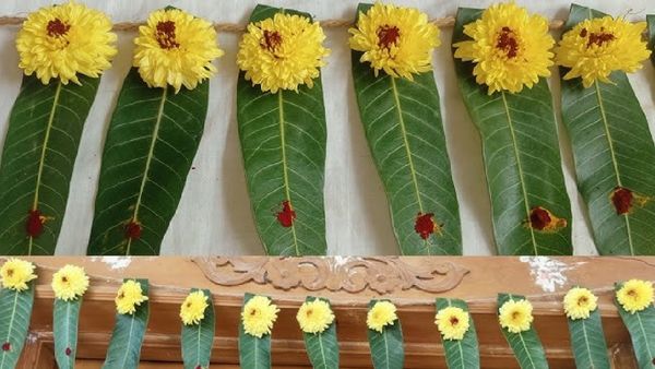 வீடுகளில் மாவிலை தோரணங்கள் கட்டப்படுவது ஏன்? மாவிலைகளால் என்ன நன்மை?