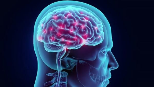 மூளைக்குள் அடிக்கும் ஃபிளாஷ்! ஒருவர் உயிரிழக்கும் போது என்ன நடக்கும்? திகைத்து நின்ற ஆய்வாளர்கள்