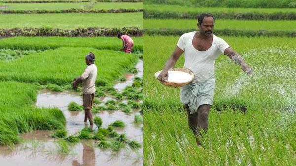 தமிழகம் முழுக்க விவசாய நிலங்கள் பதிவு பணி தீவிரம்! ரொம்ப முக்கியம்.. விவசாயிகள் உடனே இதை பண்ணுங்க