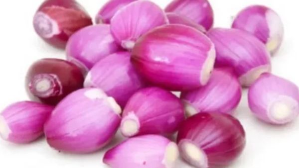 சின்ன வெங்காயம் அவசியம்.. மூலம், நரம்பு தளர்ச்சியை குணமாக்கும்.. சின்ன வெங்காயத்தின் ஹெல்த் சீக்ரெட்