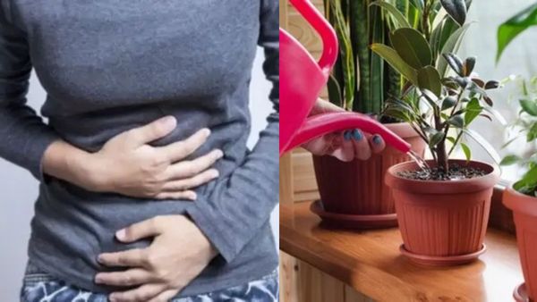 மாதவிடாய் நாட்களில் பெண்கள் செடிகளுக்கு தண்ணீர் ஊற்றினால் பட்டு போகுமா?