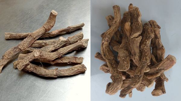 சாயங்காலம் 6 மணிக்கு மேலே பெயரை கூட சொல்லக் கூடாத மருந்து! வசம்பின் மகத்துவம் தெரியுமா?