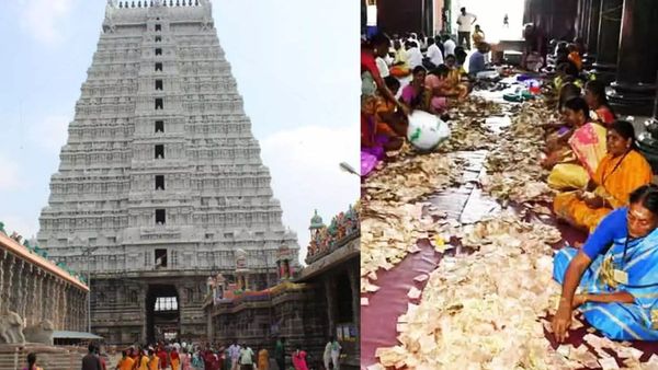 திருவண்ணாமலை கோயிலில் சர்ப்ரைஸ்.. உண்டியலில் இருந்து கோடி கோடியாக கொட்டிய காசு! வாவ் தை மாத பவுர்ணமி