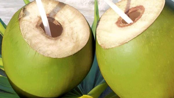 நீரிழிவு நோயாளி இளநீர் குடிக்கலாமா? உடம்பு வறட்சிக்கு நீர்ச்சத்து நிறைந்த ஹெல்த் டிரிங்க்.. அற்புதம்