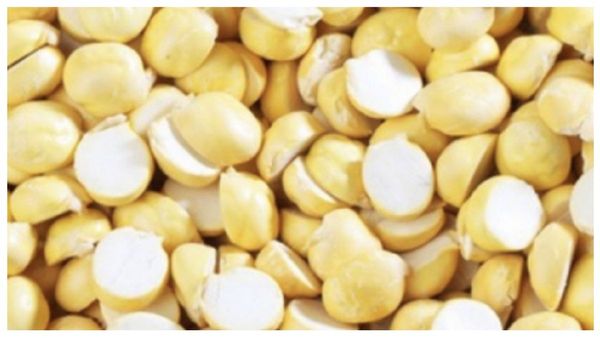 பொட்டுக்கடலையில் கொட்டி கிடக்கும் நன்மைகள்.. புரோட்டீன் நிறைந்த வறுத்த பொட்டுக்கடலை தரும் ஆரோக்கியம்